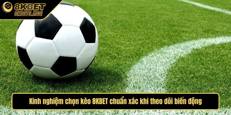 Kinh nghiệm chọn kèo 8KBET chuẩn xác khi theo dõi biến động